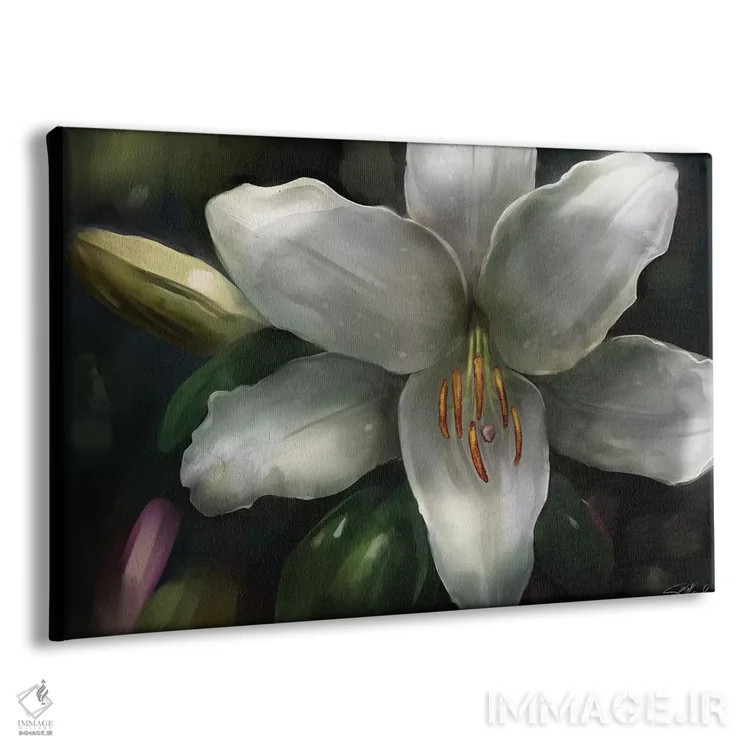 تابلو دکوراتیو ستاره بین اثر استیو گود - نمای پرسپکتیو محصول