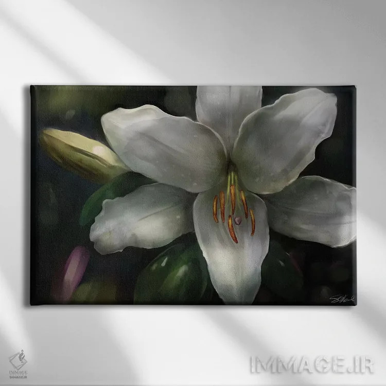 تابلو دکوراتیو ستاره بین اثر استیو گود - نمای روبهرو روی دیوار