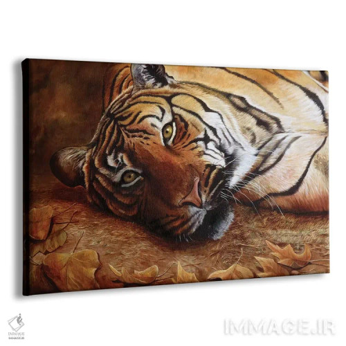 تابلو دکوراتیو ببر بنگال اثر استیو گود - نمای پرسپکتیو محصول