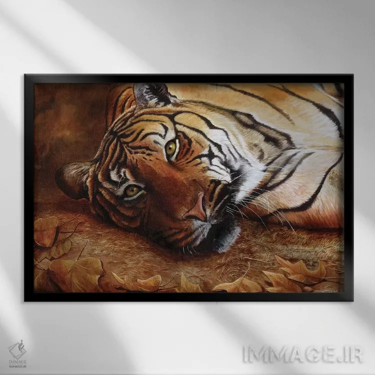 تابلو دکوراتیو ببر بنگال اثر استیو گود - نمای قابدار مشکی