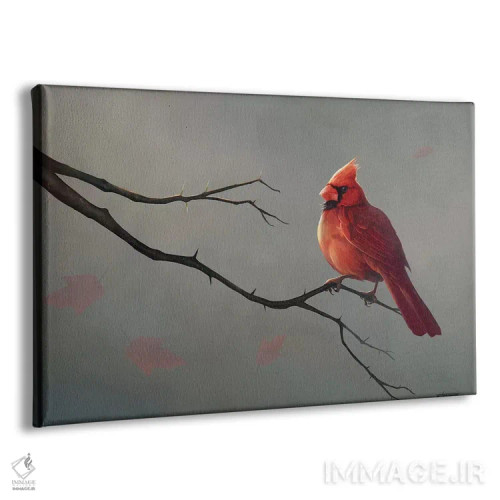 تابلو دکوراتیو کارباورال نر اثر استیو گود - نمای پرسپکتیو محصول