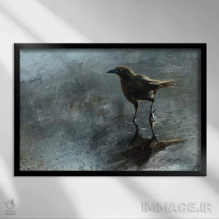 تابلو دکوراتیو پرنده در گودال آب اثر استیو گود - نمای قابدار مشکی