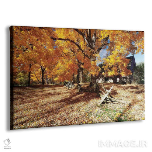 تابلو دکوراتیو جاده پوشیده از برگ، مزرعه ویک، پارک ایالتی جوکی هالو، مورریست… اثر جورج اوزه - نمای پرسپکتیو محصول