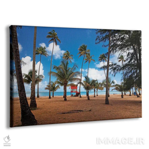 تابلو دکوراتیو کلبه نجات غریق در ساحل نخل پوش استوایی، لوکیو، پورتوریکو اثر جورج اوزه - نمای پرسپکتیو محصول