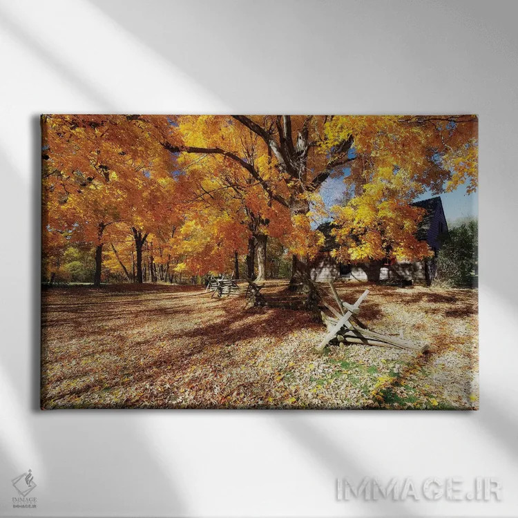 تابلو دکوراتیو جاده پوشیده از برگ، مزرعه ویک، پارک ایالتی جوکی هالو، مورریست… اثر جورج اوزه - نمای روبهرو روی دیوار