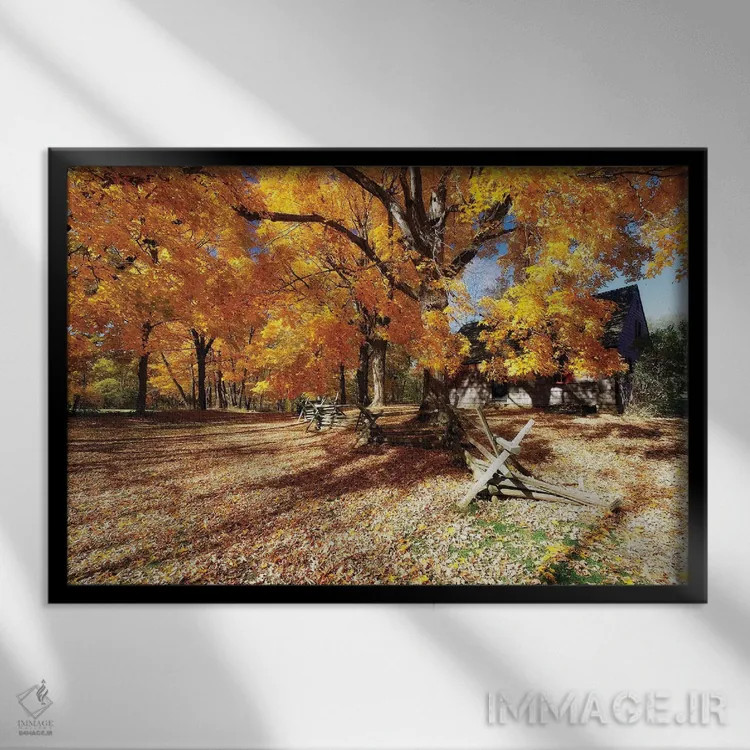 تابلو دکوراتیو جاده پوشیده از برگ، مزرعه ویک، پارک ایالتی جوکی هالو، مورریست… اثر جورج اوزه - نمای قابدار مشکی