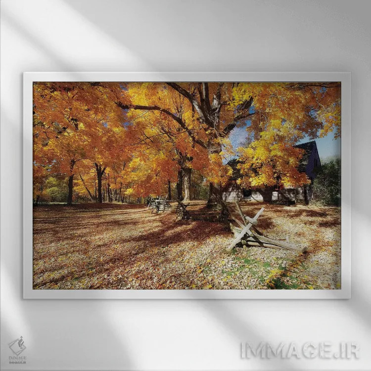 تابلو دکوراتیو جاده پوشیده از برگ، مزرعه ویک، پارک ایالتی جوکی هالو، مورریست… اثر جورج اوزه - نمای قابدار سفید