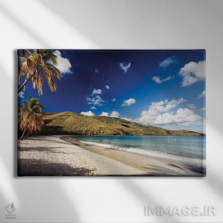 تابلو دکوراتیو صبحگاه خلیج مگنز، سنت توماس، جزایر ویرجین آمریکا اثر جورج اوزه - نمای روبهرو روی دیوار