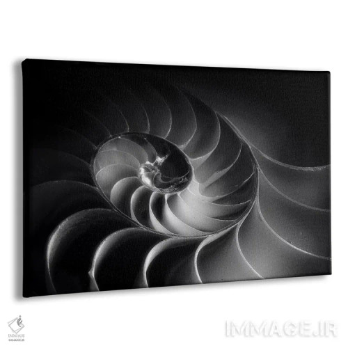 تابلو دکوراتیو مارپیچ ناتیلوس اثر جورج اوزه - نمای پرسپکتیو محصول