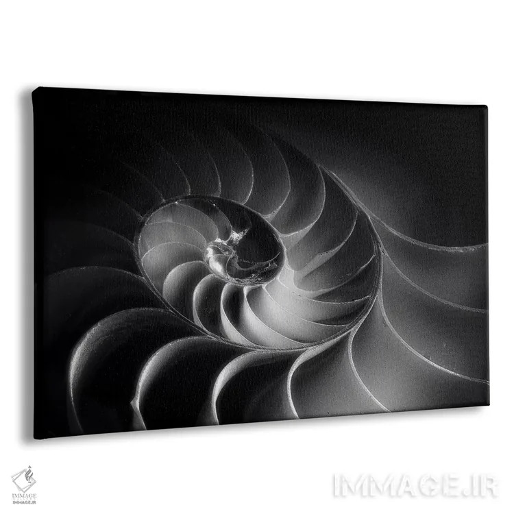 تابلو دکوراتیو مارپیچ ناتیلوس اثر جورج اوزه - نمای پرسپکتیو محصول