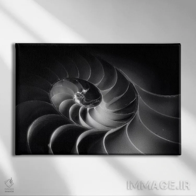 تابلو دکوراتیو مارپیچ ناتیلوس اثر جورج اوزه - نمای روبهرو روی دیوار