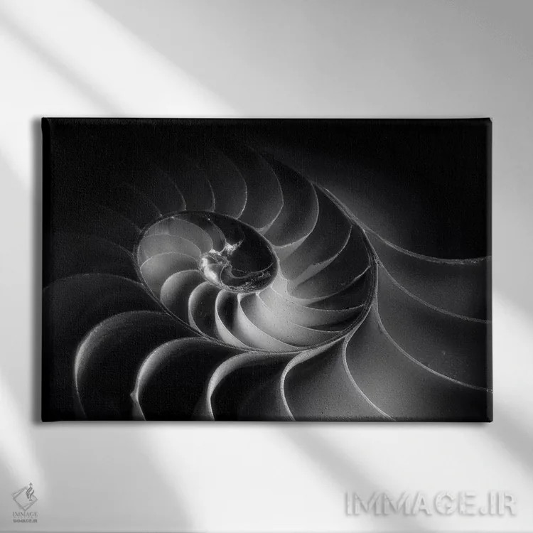 تابلو دکوراتیو مارپیچ ناتیلوس اثر جورج اوزه - نمای روبهرو روی دیوار