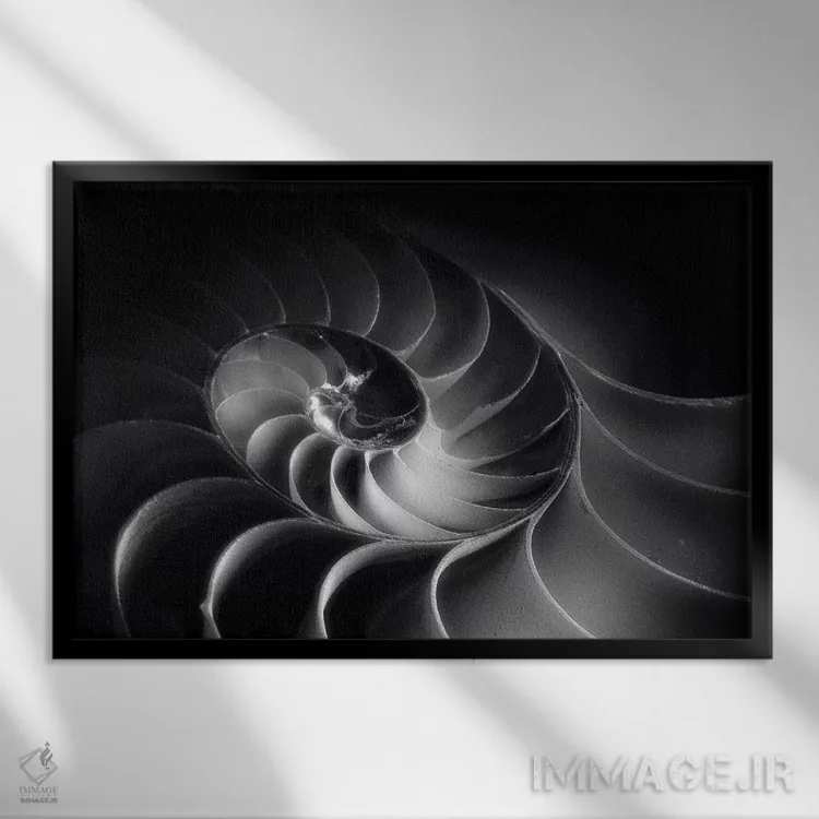 تابلو دکوراتیو مارپیچ ناتیلوس اثر جورج اوزه - نمای قابدار مشکی