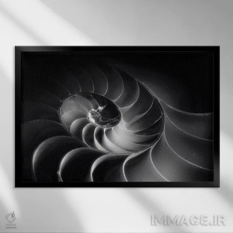 تابلو دکوراتیو مارپیچ ناتیلوس اثر جورج اوزه - نمای قابدار مشکی