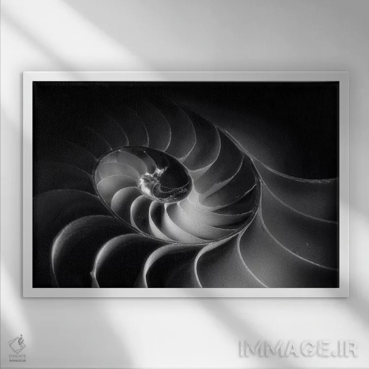 تابلو دکوراتیو مارپیچ ناتیلوس اثر جورج اوزه - نمای قابدار سفید
