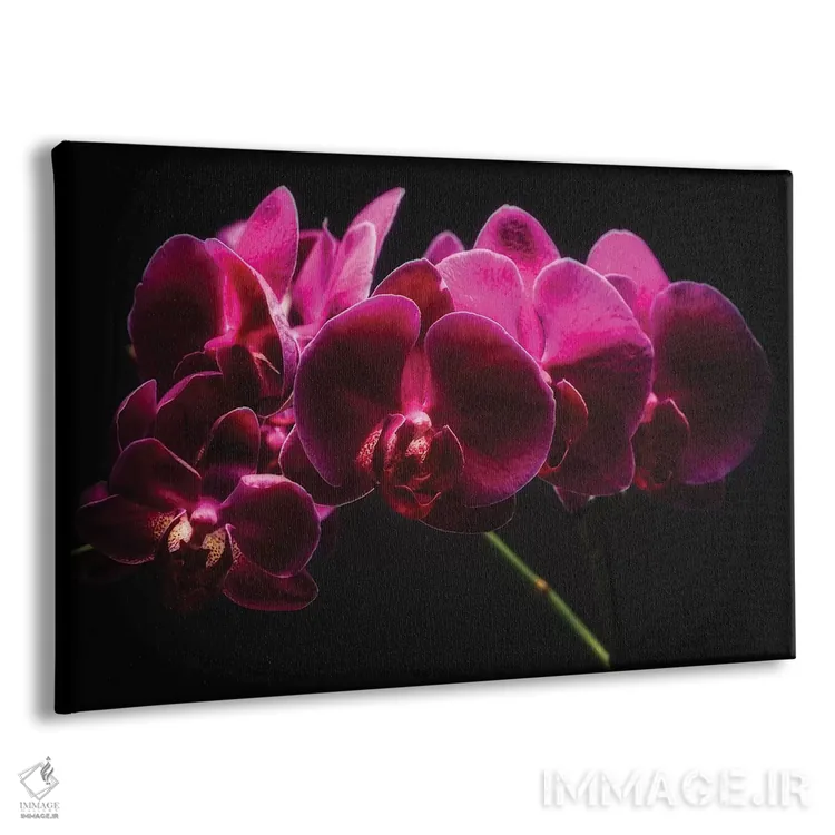 تابلو دکوراتیو ارکیده های بنفش با نور نقاشی شده اثر جورج اوزه - نمای پرسپکتیو محصول