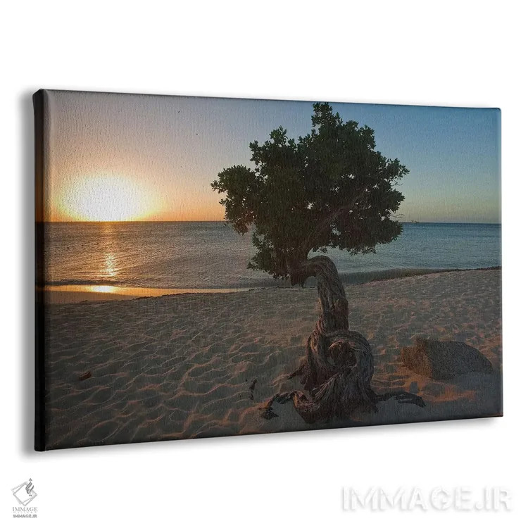 تابلو دکوراتیو غروب ساحلی با درخت فوفوتی، آروبا، آنتیل هلند اثر جورج اوزه - نمای پرسپکتیو محصول