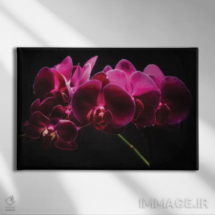 تابلو دکوراتیو ارکیده های بنفش با نور نقاشی شده اثر جورج اوزه - نمای روبهرو روی دیوار