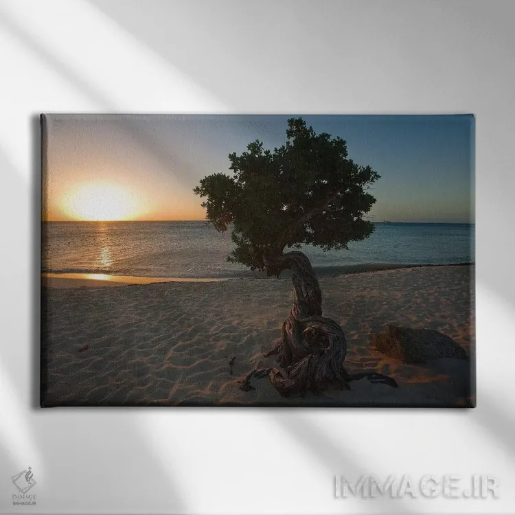 تابلو دکوراتیو غروب ساحلی با درخت فوفوتی، آروبا، آنتیل هلند اثر جورج اوزه - نمای روبهرو روی دیوار