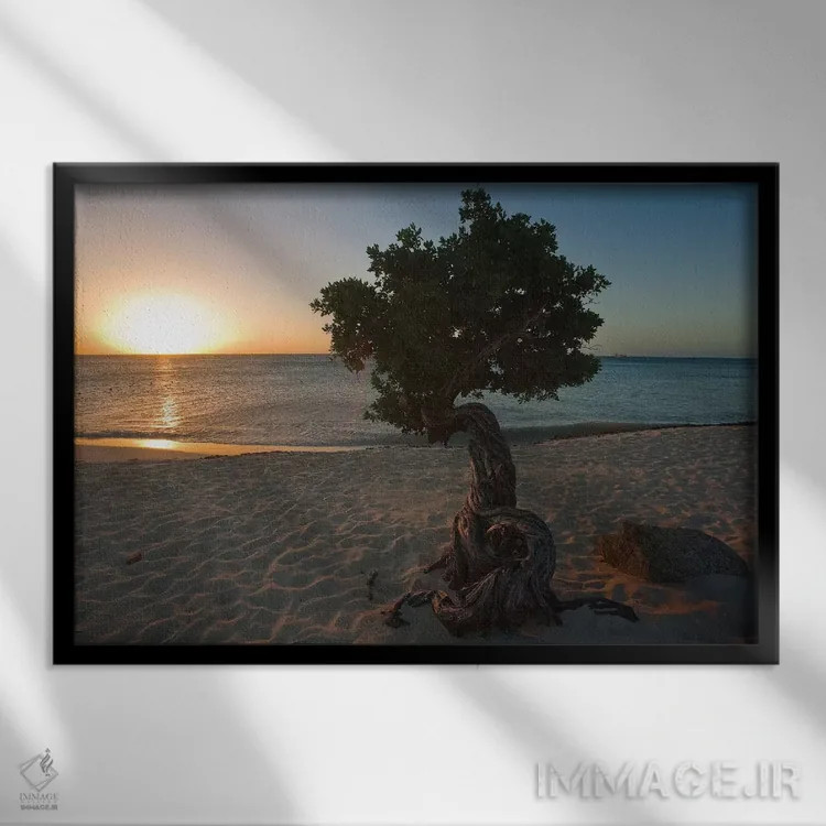 تابلو دکوراتیو غروب ساحلی با درخت فوفوتی، آروبا، آنتیل هلند اثر جورج اوزه - نمای قابدار مشکی