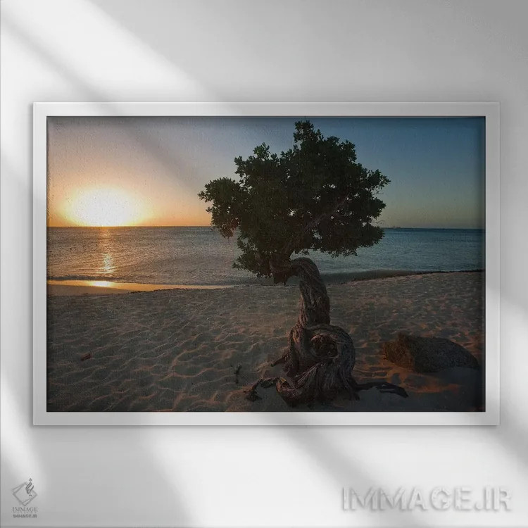 تابلو دکوراتیو غروب ساحلی با درخت فوفوتی، آروبا، آنتیل هلند اثر جورج اوزه - نمای قابدار سفید
