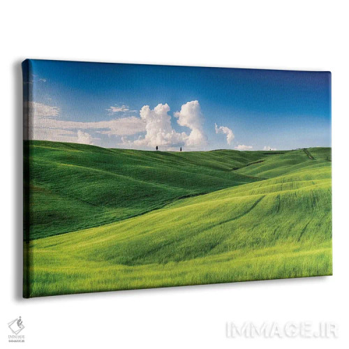 تابلو دکوراتیو تپه های نرم با درختان سرو و مزارع گندم، توسکانی، ایتالیا اثر جورج اوزه - نمای پرسپکتیو محصول