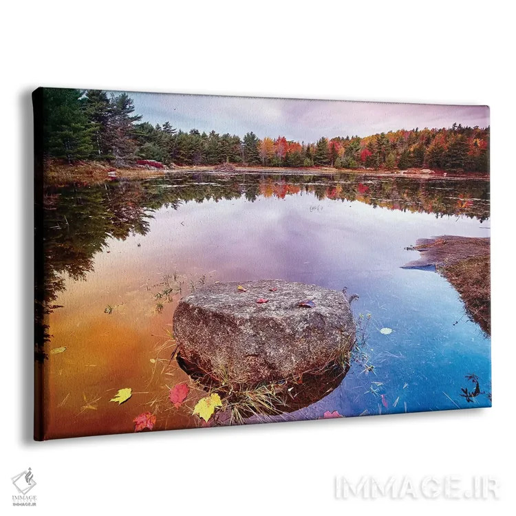 تابلو دکوراتیو تکه سنگ با برگ های ریخته شده در حوضچه، پارک ملی آکادیا، جزیره… اثر جورج اوزه - نمای پرسپکتیو محصول