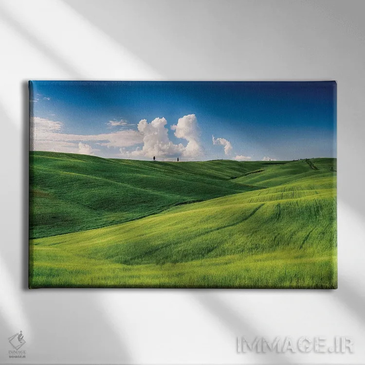 تابلو دکوراتیو تپه های نرم با درختان سرو و مزارع گندم، توسکانی، ایتالیا اثر جورج اوزه - نمای روبهرو روی دیوار