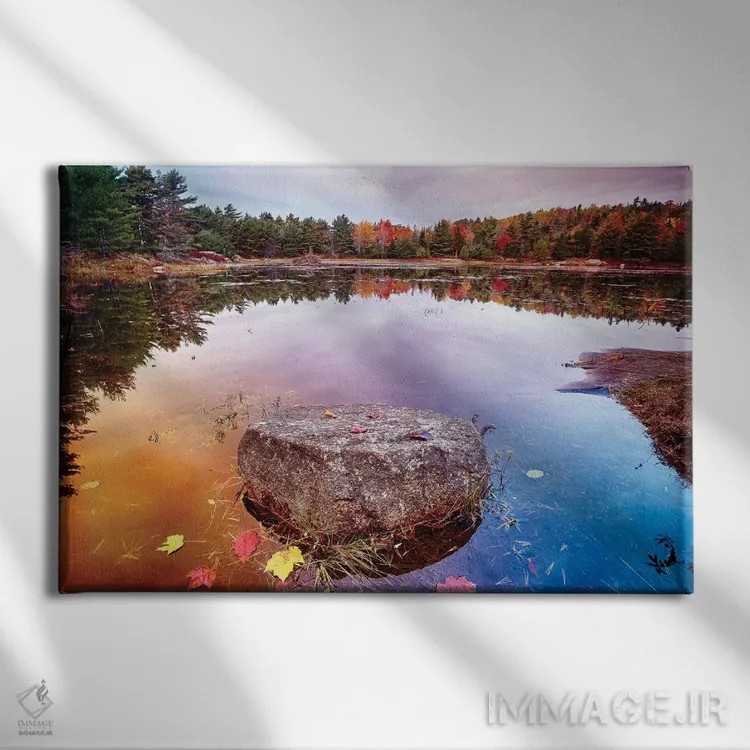 تابلو دکوراتیو تکه سنگ با برگ های ریخته شده در حوضچه، پارک ملی آکادیا، جزیره… اثر جورج اوزه - نمای روبهرو روی دیوار