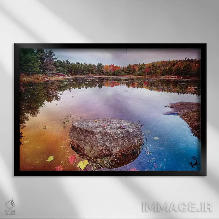 تابلو دکوراتیو تکه سنگ با برگ های ریخته شده در حوضچه، پارک ملی آکادیا، جزیره… اثر جورج اوزه - نمای قابدار مشکی