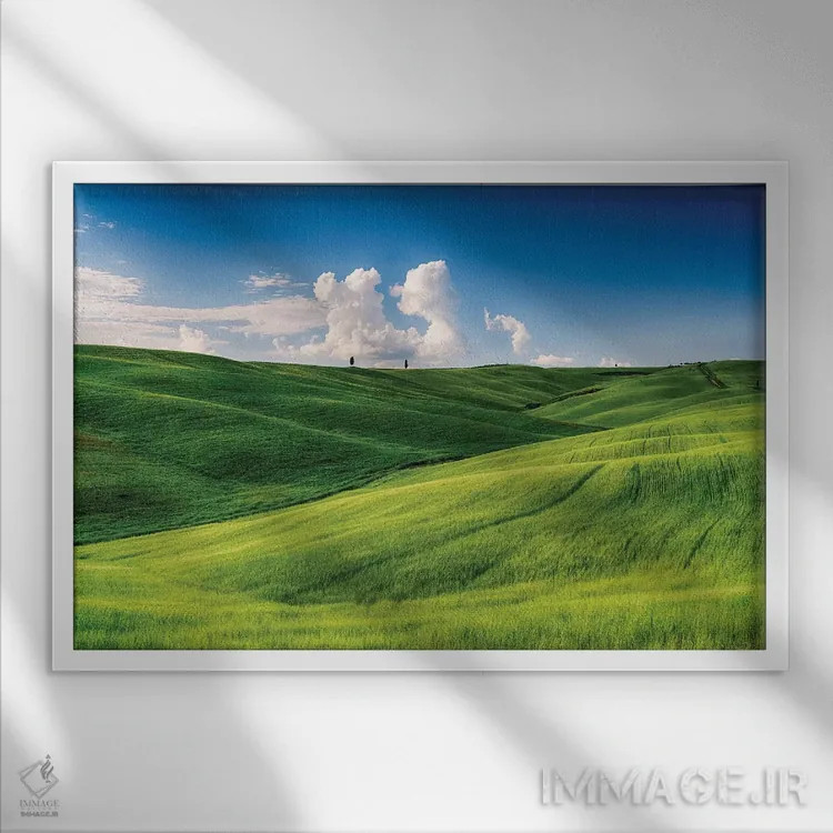 تابلو دکوراتیو تپه های نرم با درختان سرو و مزارع گندم، توسکانی، ایتالیا اثر جورج اوزه - نمای قابدار سفید