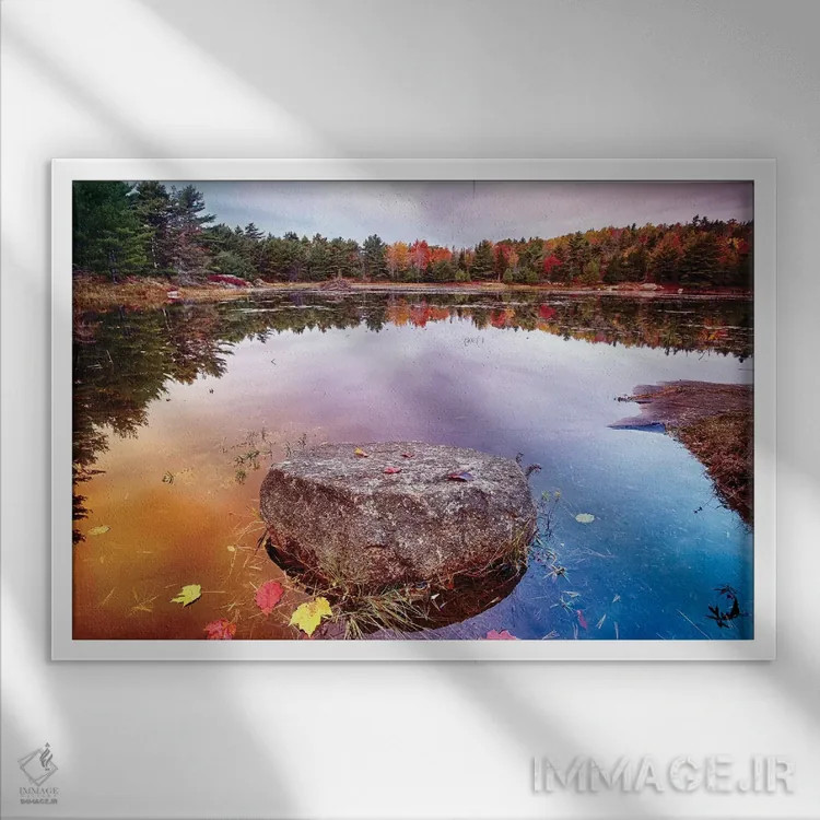 تابلو دکوراتیو تکه سنگ با برگ های ریخته شده در حوضچه، پارک ملی آکادیا، جزیره… اثر جورج اوزه - نمای قابدار سفید