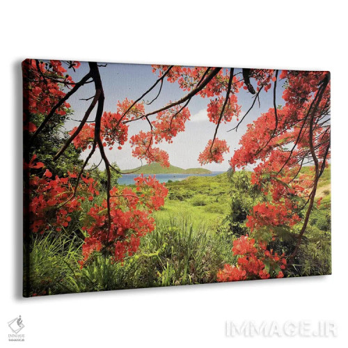 تابلو دکوراتیو نمای خلیج تمرهندی از میان درخت فلامبویان، جزیره کولبرا، پورتو… اثر جورج اوزه - نمای پرسپکتیو محصول
