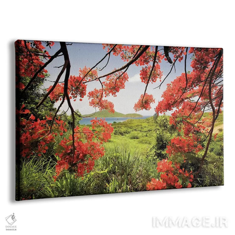 تابلو دکوراتیو نمای خلیج تمرهندی از میان درخت فلامبویان، جزیره کولبرا، پورتو… اثر جورج اوزه - نمای پرسپکتیو محصول