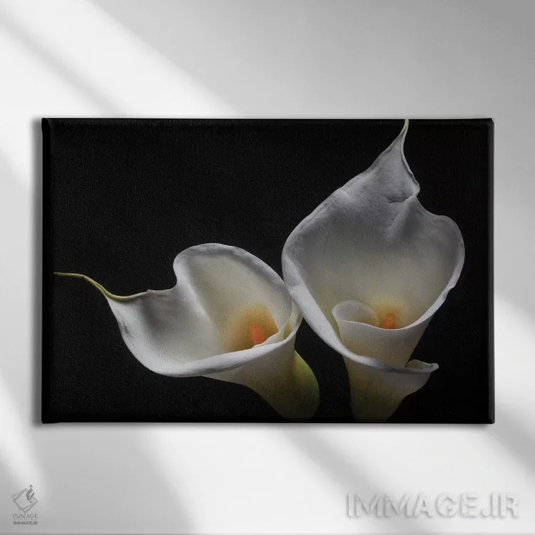 تابلو دکوراتیو دو گل کالایلی اثر جورج اوزه - نمای روبهرو روی دیوار