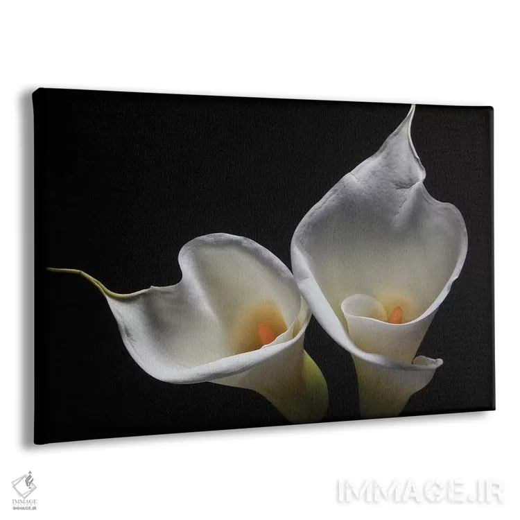 تابلو دکوراتیو دو گل کالایلی اثر جورج اوزه - نمای پرسپکتیو محصول