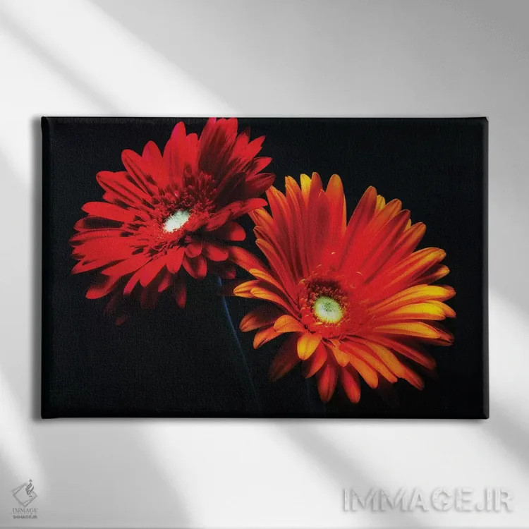 تابلو دکوراتیو دو گل مروارید نورانی در پس زمینه سیاه اثر جورج اوزه - نمای روبهرو روی دیوار