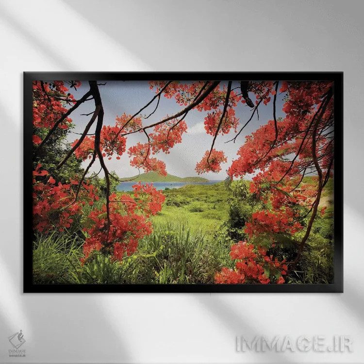 تابلو دکوراتیو نمای خلیج تمرهندی از میان درخت فلامبویان، جزیره کولبرا، پورتو… اثر جورج اوزه - نمای قابدار مشکی