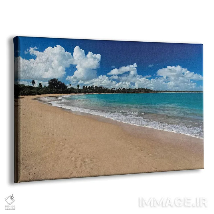 تابلو دکوراتیو ساحل واسیا تلاگا، پورتوریکو اثر جورج اوزه - نمای پرسپکتیو محصول
