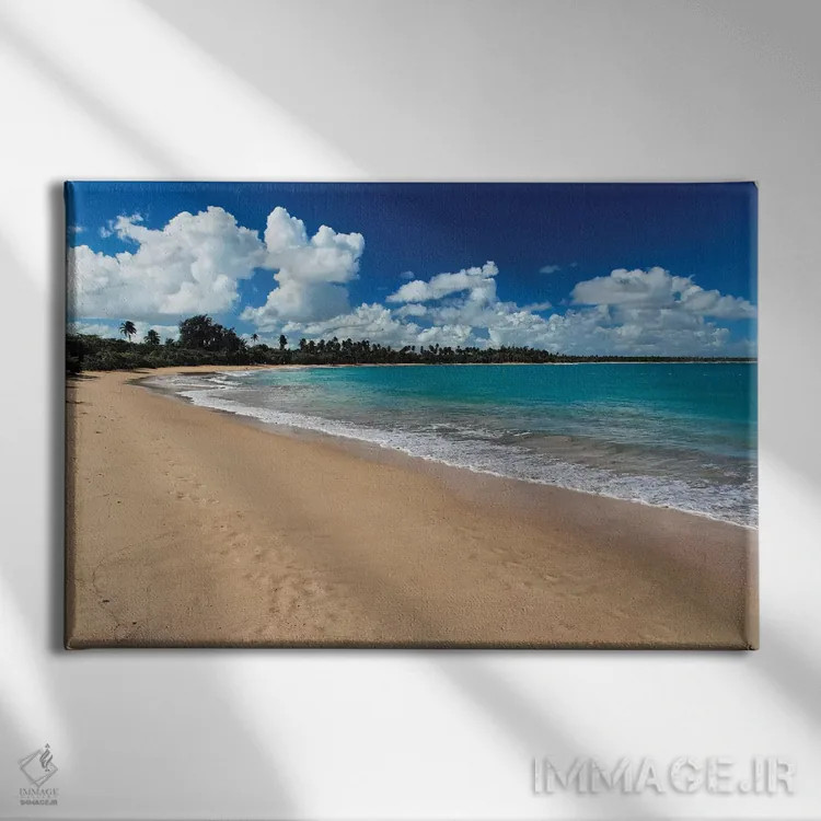 تابلو دکوراتیو ساحل واسیا تلاگا، پورتوریکو اثر جورج اوزه - نمای روبهرو روی دیوار