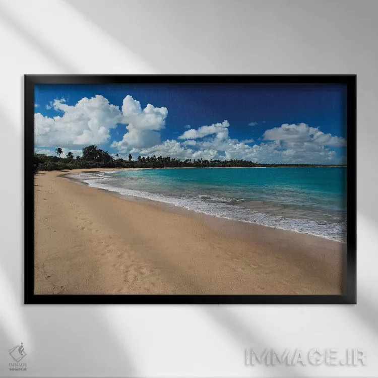 تابلو دکوراتیو ساحل واسیا تلاگا، پورتوریکو اثر جورج اوزه - نمای قابدار مشکی