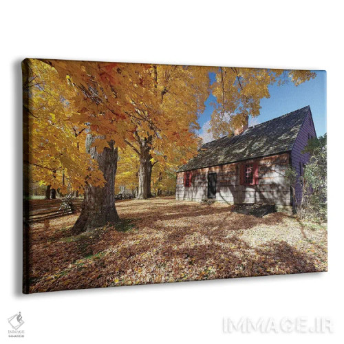 تابلو دکوراتیو نمای خانه تاریخی ویکس از میان برگ های پاییزی رنگارنگ، پارک ای… اثر جورج اوزه - نمای پرسپکتیو محصول