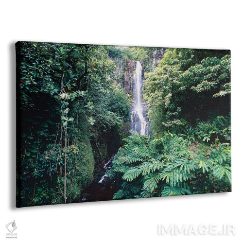 تابلو دکوراتیو آبشار وایلوآ بر مسیر هانا، مائوئی، هاوایی اثر جورج اوزه - نمای پرسپکتیو محصول