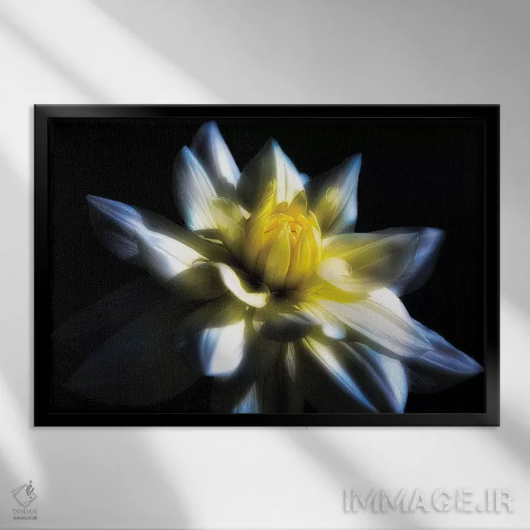 تابلو دکوراتیو گل دالیای نیلوفر آبی در پس زمینه سیاه اثر جورج اوزه - نمای قابدار مشکی