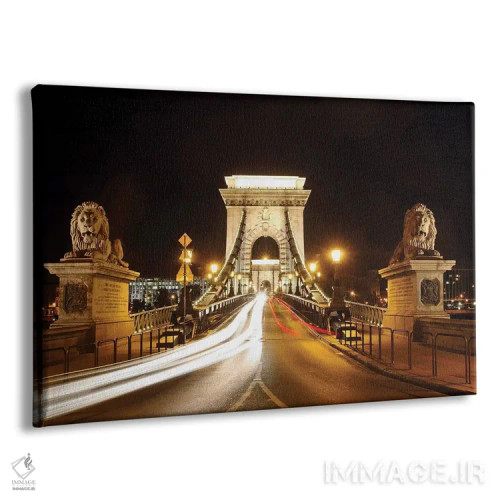 تابلو دکوراتیو مجسمه های شیر پل زنجیر در شب، بوداپست، مجارستان اثر جورج اوزه - نمای پرسپکتیو محصول