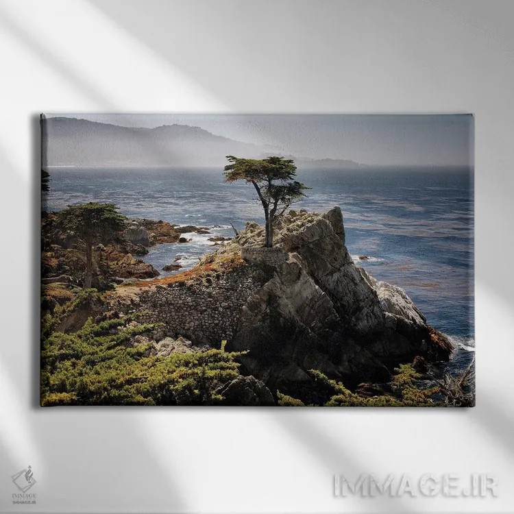 تابلو دکوراتیو درخت سرو تنها اثر جورج اوزه - نمای روبهرو روی دیوار