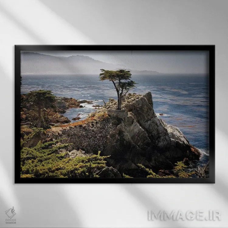 تابلو دکوراتیو درخت سرو تنها اثر جورج اوزه - نمای قابدار مشکی