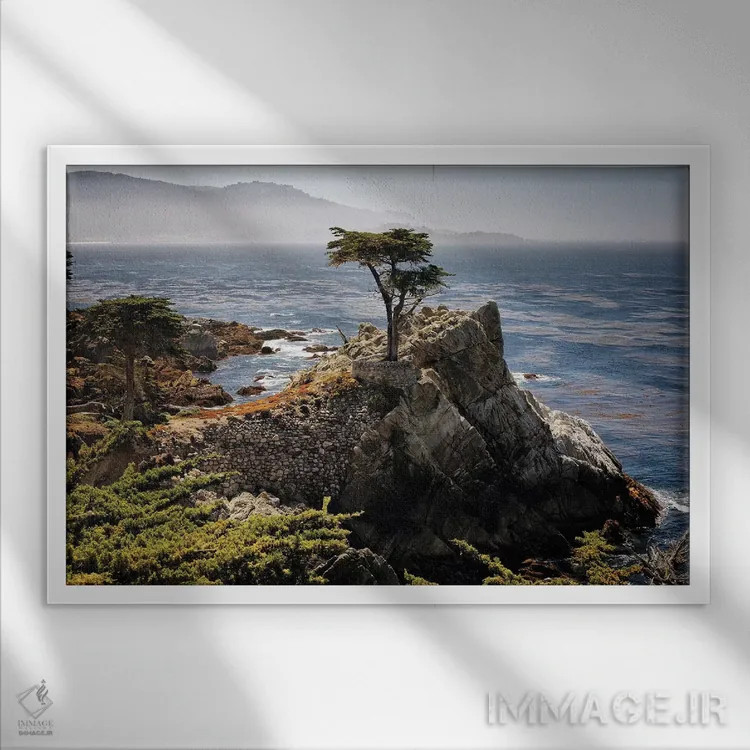 تابلو دکوراتیو درخت سرو تنها اثر جورج اوزه - نمای قابدار سفید