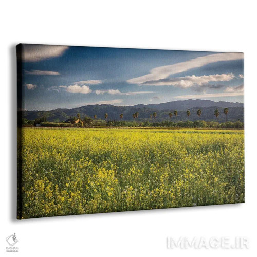 تابلو دکوراتیو چشم انداز بهاری دره ناپا با گل خردل زرد شکفته اثر جورج اوزه - نمای پرسپکتیو محصول