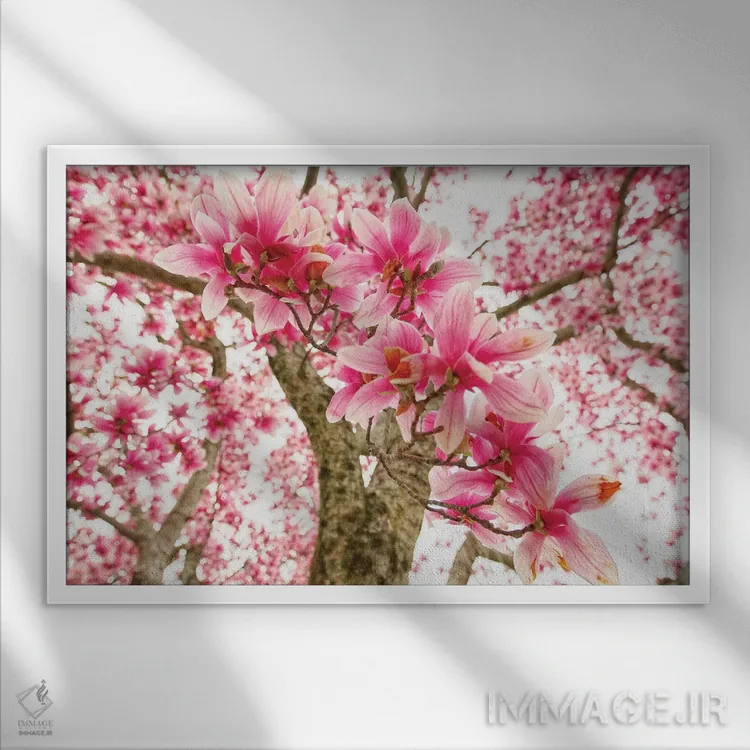 تابلو دکوراتیو شکوفه درخت ماگنولیای صورتی اثر جورج اوزه - نمای قابدار سفید